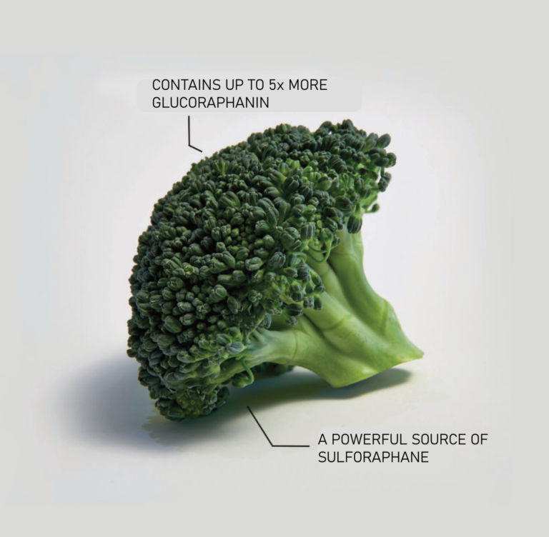 Contains up to 5x more Glucoraphanin. A powerful source of Sulforaphane